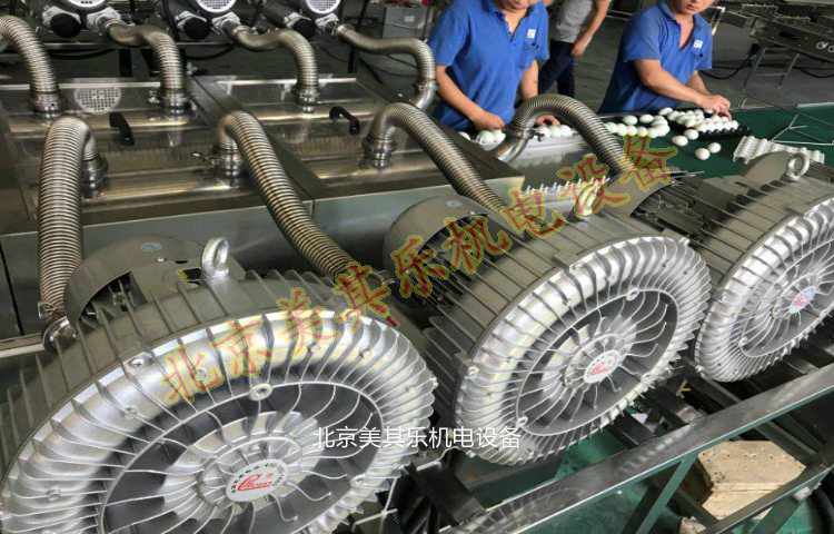 漩渦氣泵應用于雞蛋真空吸附器(視頻) 漩渦氣泵應用于雞蛋真空吸附器(視頻)